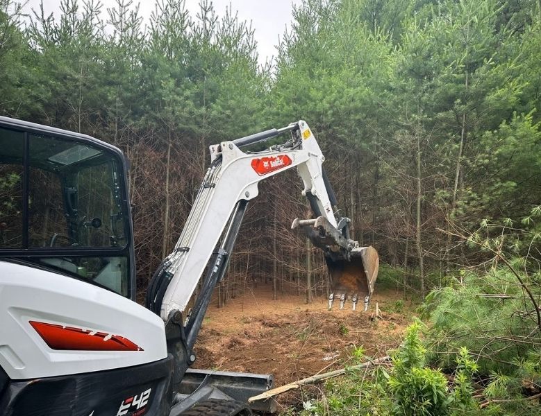 Tree-Stump-Removal-img